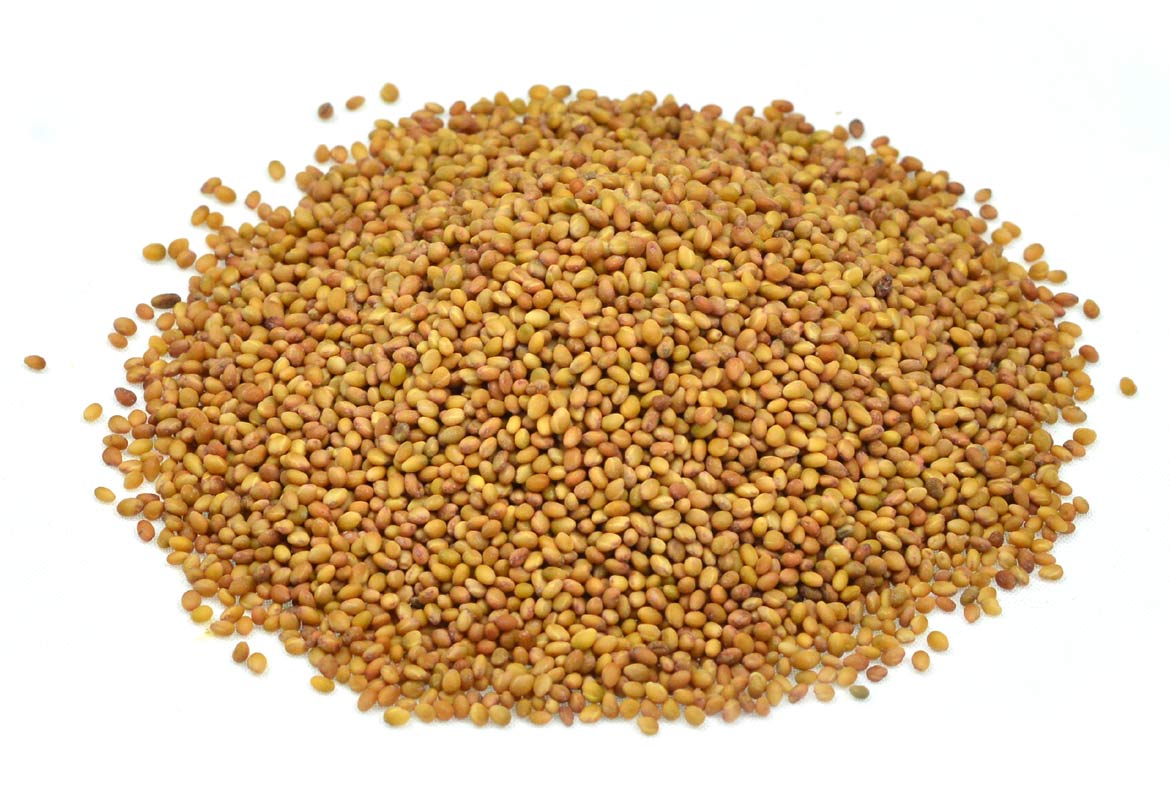 Clover seeds