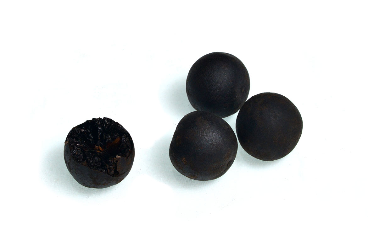 Dried Lemon Black