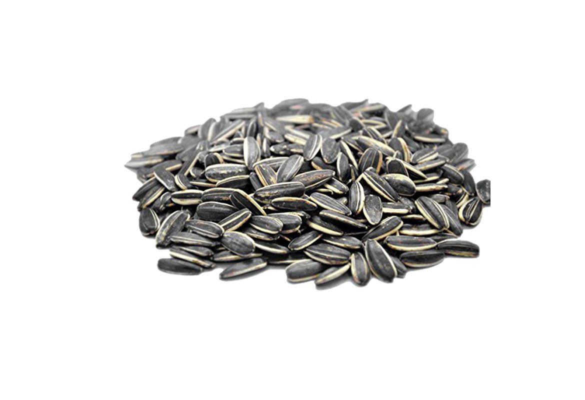 Sunflower - striped 