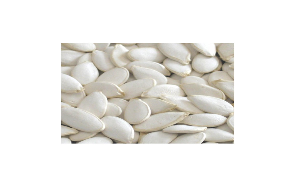 Zucchini seeds
