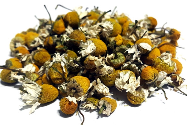 Chamomile