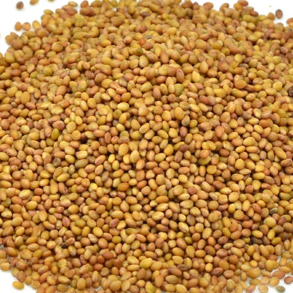 Clover seeds
