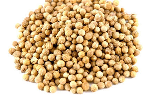 Coriander Seeds