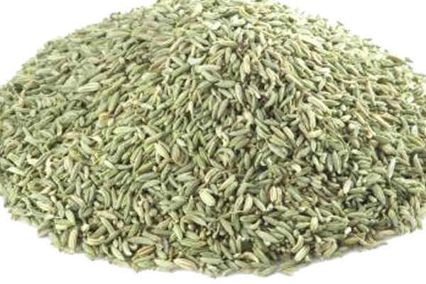 Fennel Seeds