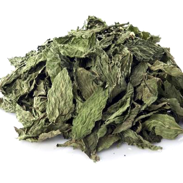Jew’s Mallow (Mouloukhieh)