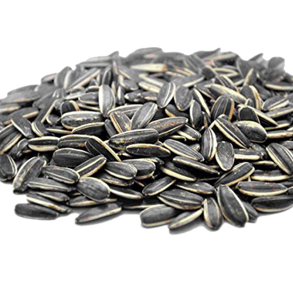 Sunflower - striped 